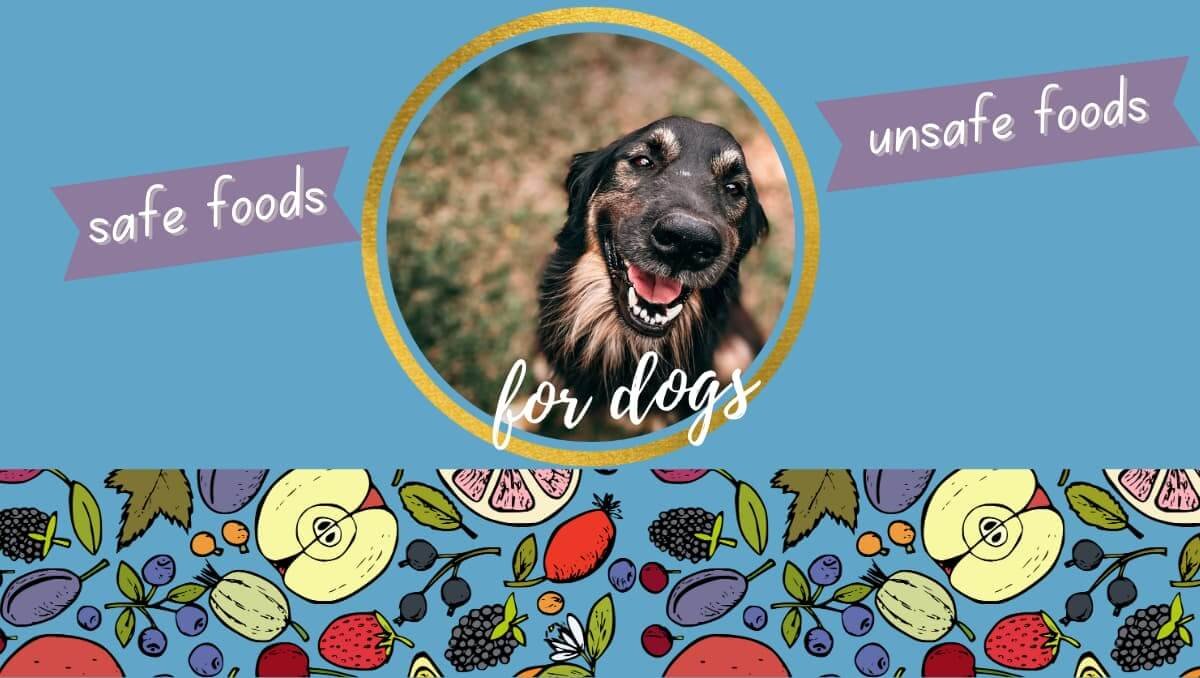 foods dogs can and can't eat