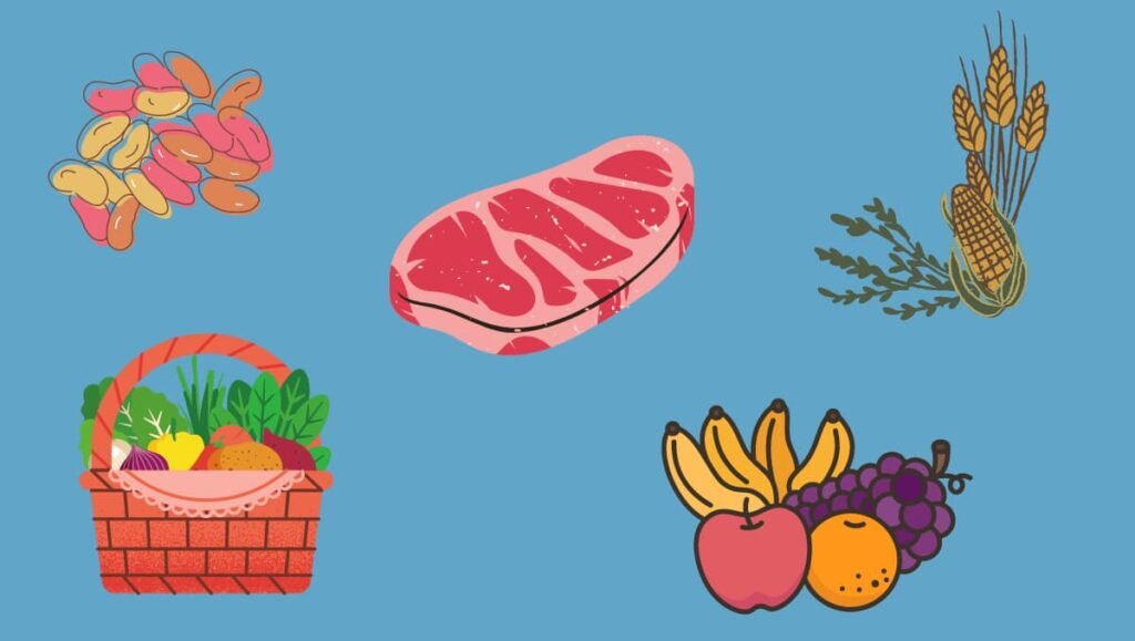 safe foods for dogs
