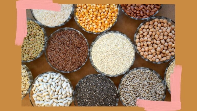 can dogs eat grains