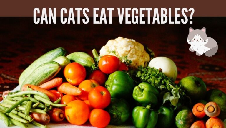 can cats eat vegetables