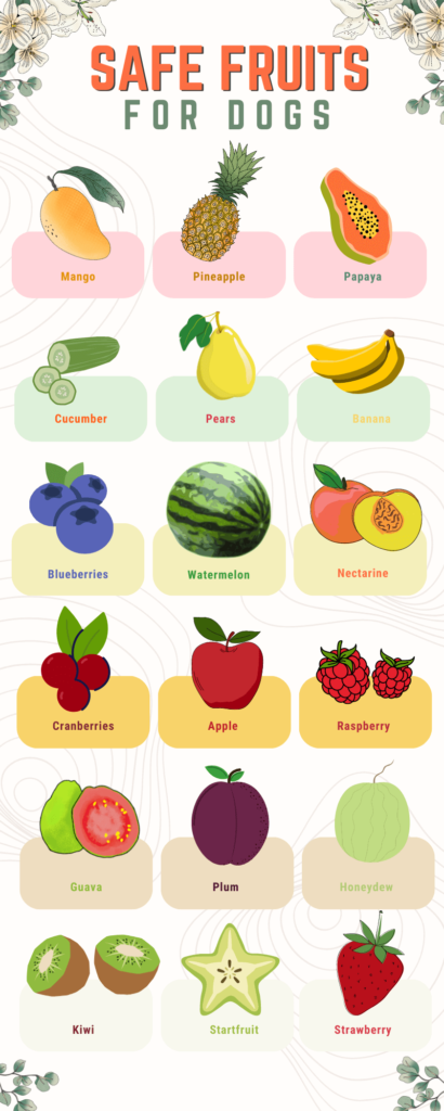 safe fruits for dogs