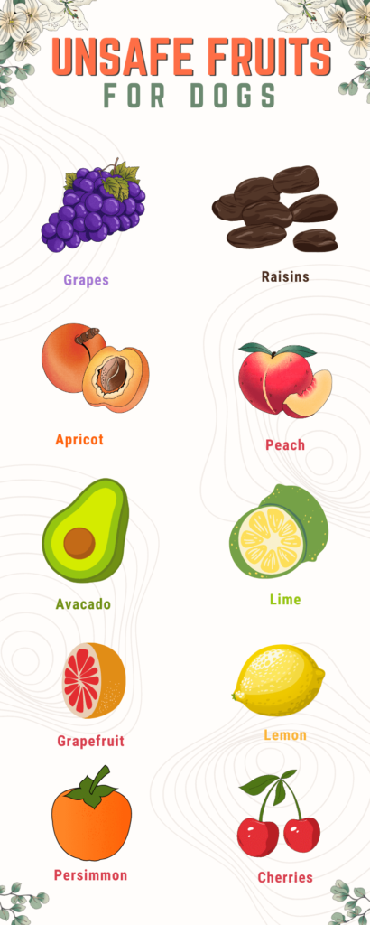 unsafe fruits for dogs