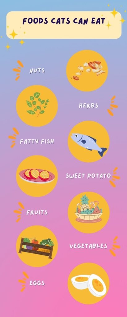 foods cats caneat