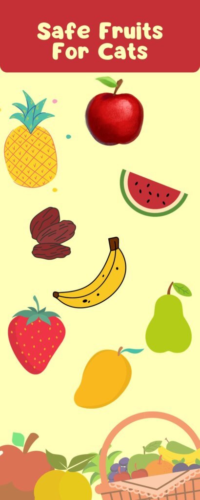safe fruits for cats