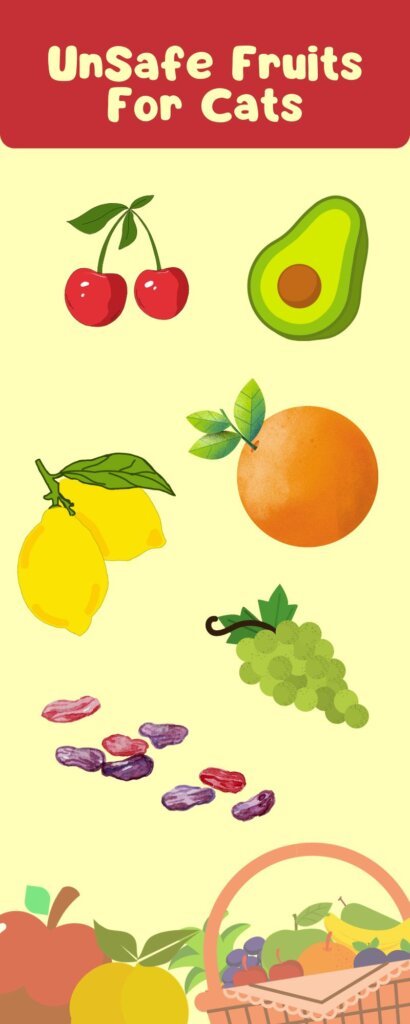 unsafe fruits for cats