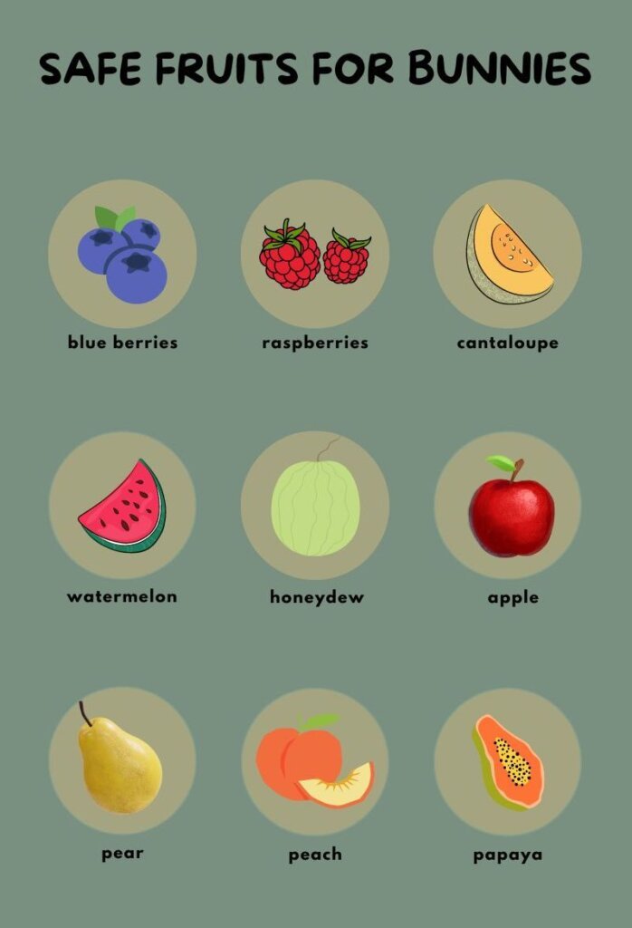 safe fruits for bunnies